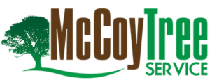 McCoy Tree Service Logo